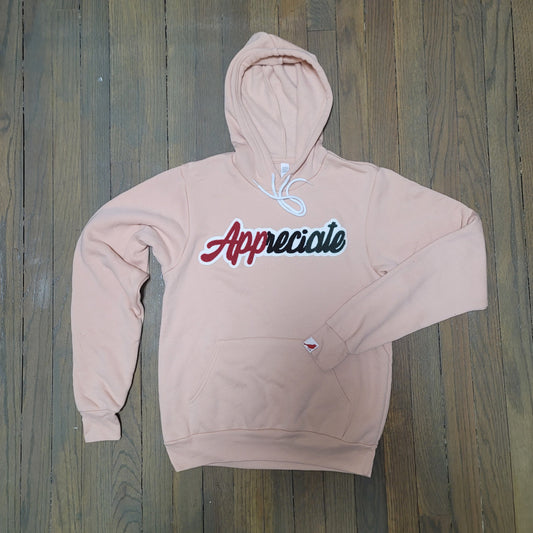 Appreciate Pull Over Hoodie- Salmon Pink/Multi